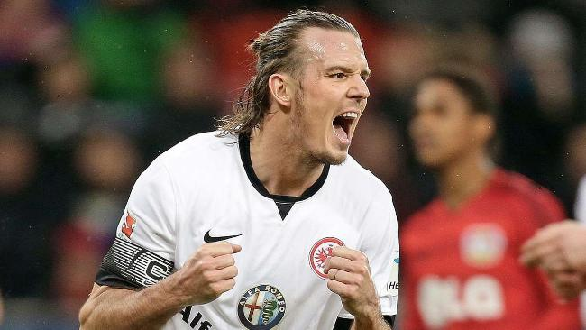 的应变能力 的应变能力