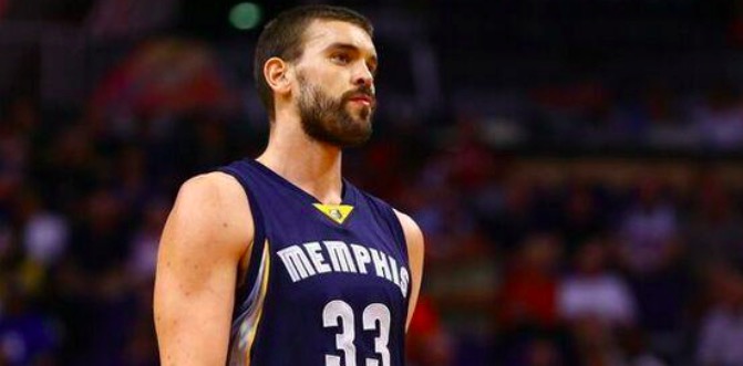 组织的功能 组织的功能